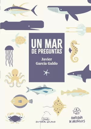 MAR DE PREGUNTAS, UN