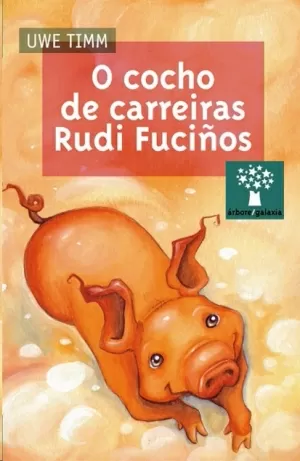 COCHO DE CARREIRAS RUDI FUCIÑOS, O (NA)