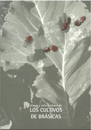 CULTIVOS DE BRASICAS, LOS. PLAGAS Y ENFERMEDADES DE