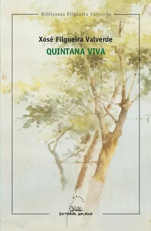QUINTANA VIVA (BFV)